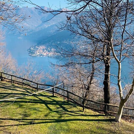 Il Riccio Appartamento เชอร์นอบบิโอ ภายนอก รูปภาพ