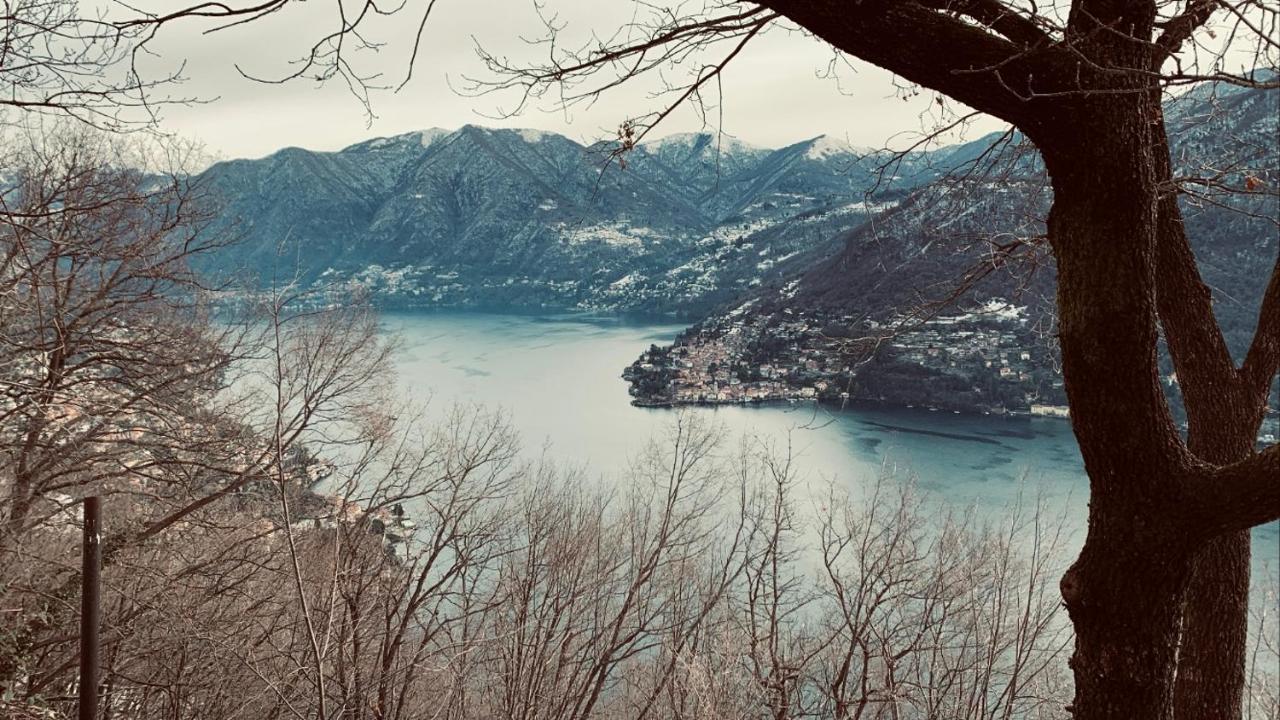 Il Riccio Appartamento เชอร์นอบบิโอ ภายนอก รูปภาพ