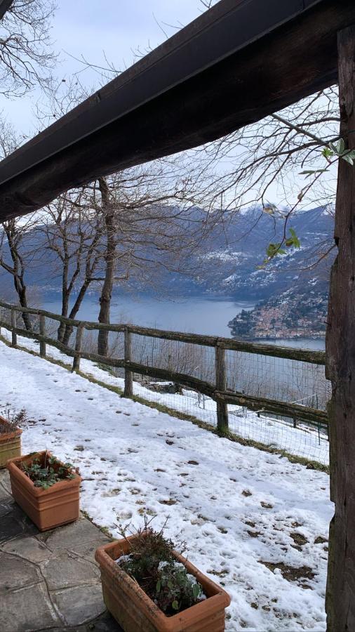 Il Riccio Appartamento เชอร์นอบบิโอ ภายนอก รูปภาพ