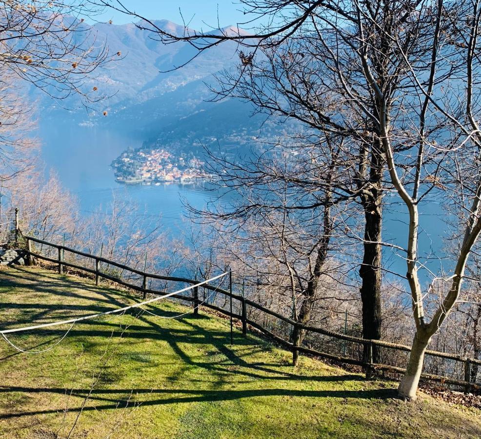 Il Riccio Appartamento เชอร์นอบบิโอ ภายนอก รูปภาพ