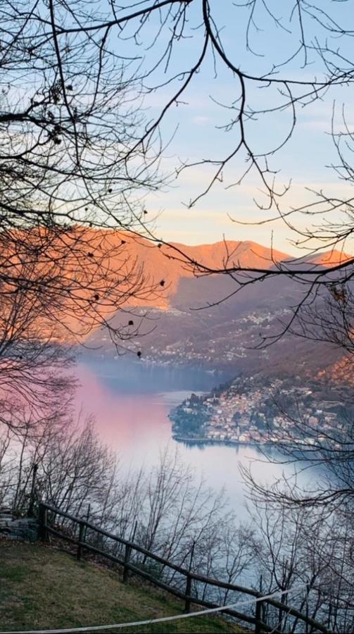 Il Riccio Appartamento เชอร์นอบบิโอ ภายนอก รูปภาพ